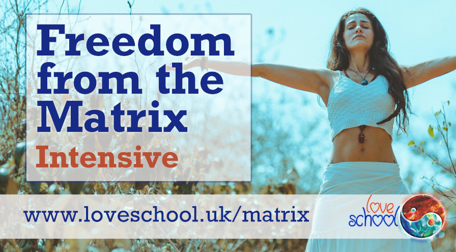 Freedom From The Matrix 1:1 Intensiveip