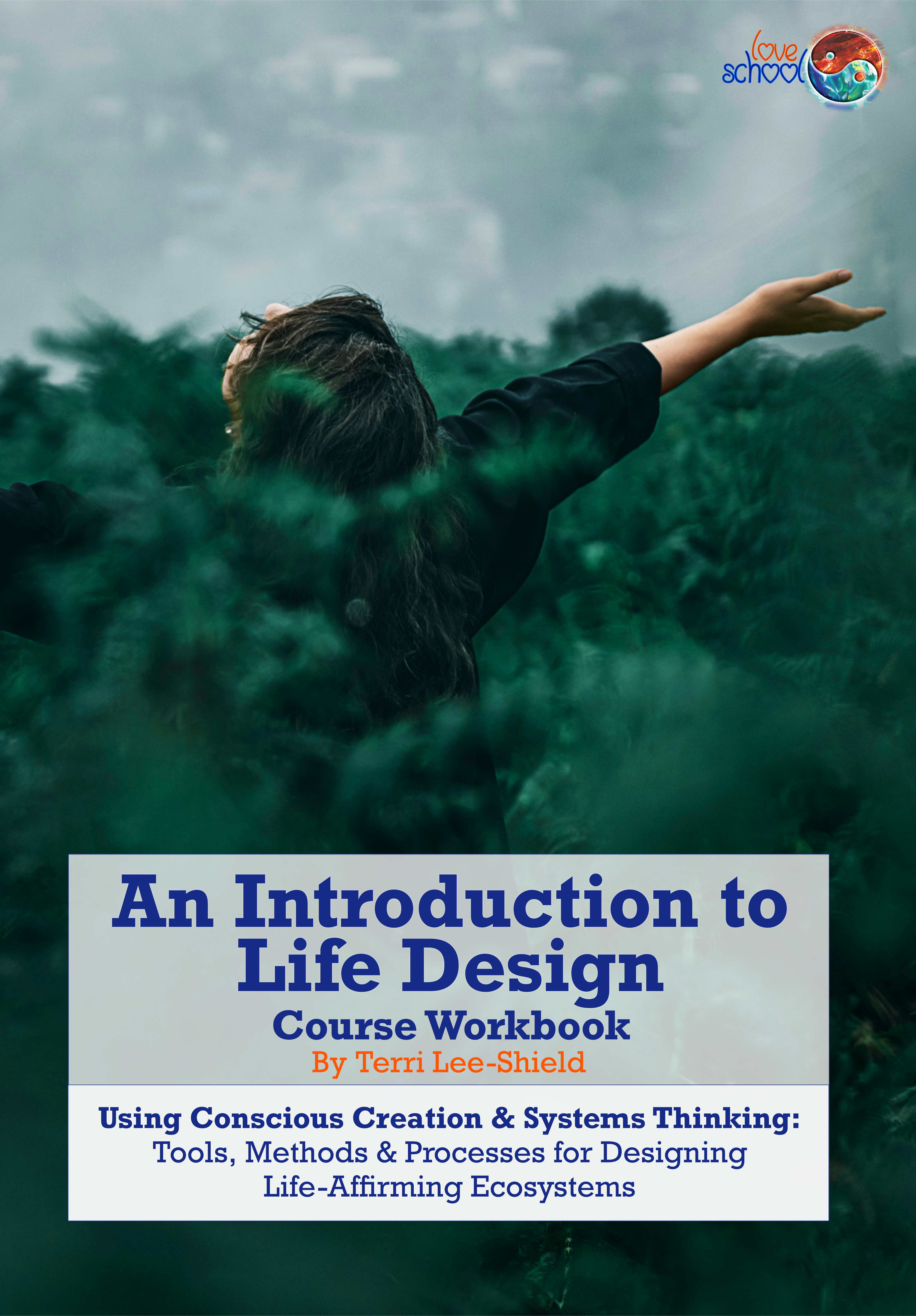 An Introduction to Life Design Workbook